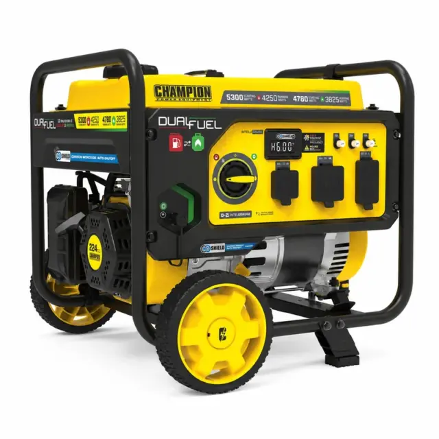Champion 201279 — Dual-Fuel Portable Generator, Recoil Start